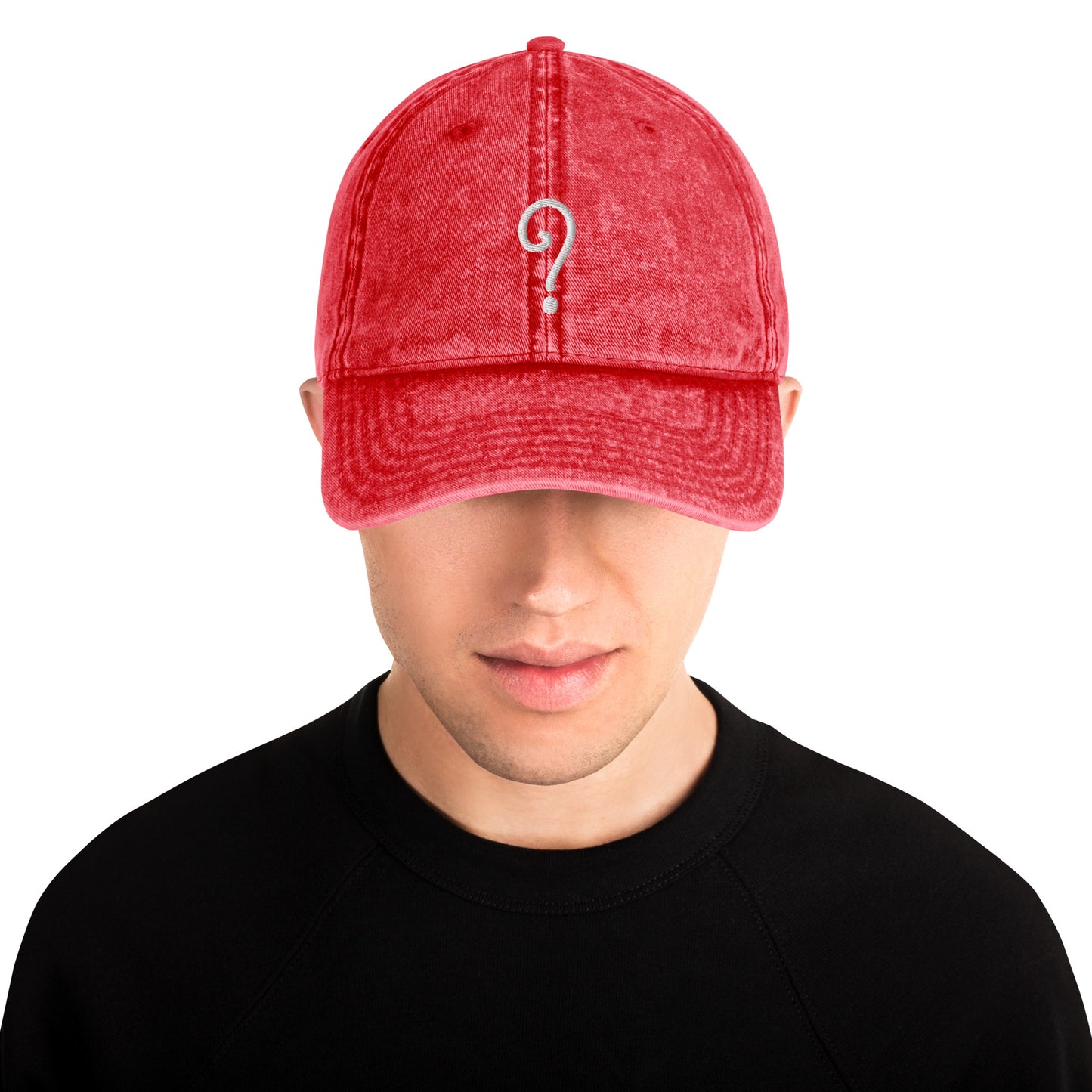 The Why Not Vintage Embroidered Hat